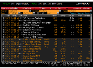 Beginner's Guide To The Bloomberg Terminal: Economics